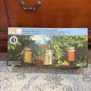 Set of 3 Glass Jars with Mini LED Lights